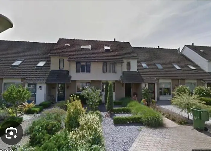 Witte Druif